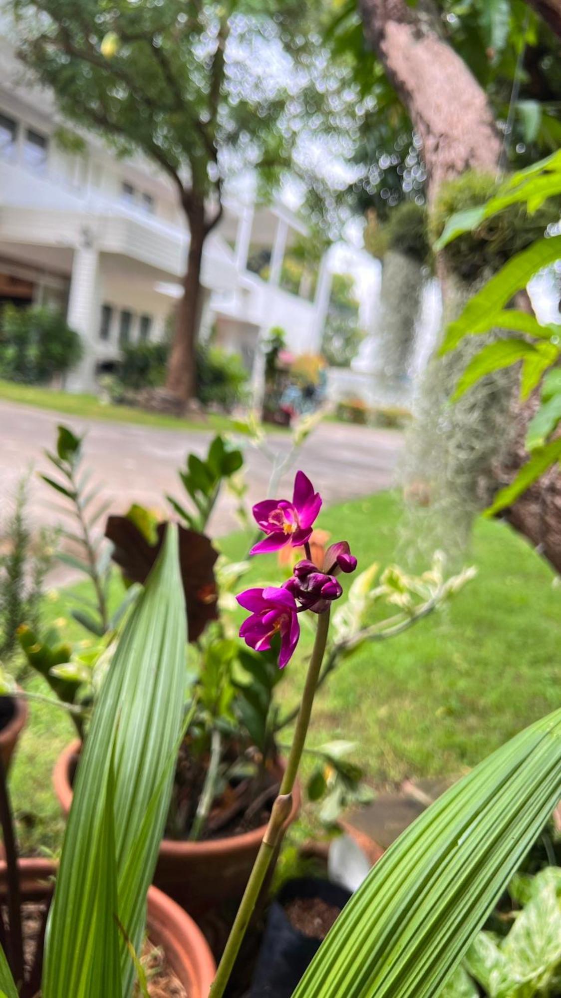 Udee Cozy Hotel Čiang Mai Exteriér fotografie